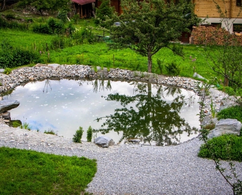 Schwimmteich Wallis Volken Gartenbau